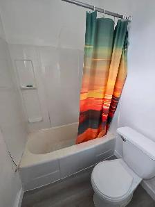 1 bedroom apartment on Selkirk Ave - Photo 6