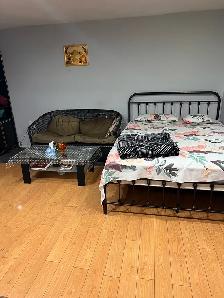 basement room near Sheridan college - Photo 5