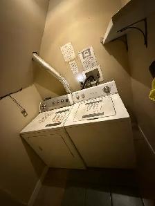 Spacious Room for rent in Forest Hieghts - Photo 7