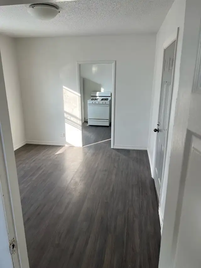 Pet Friendly One Bedroom Suite In Fourplex Available For Rent. - Photo 4