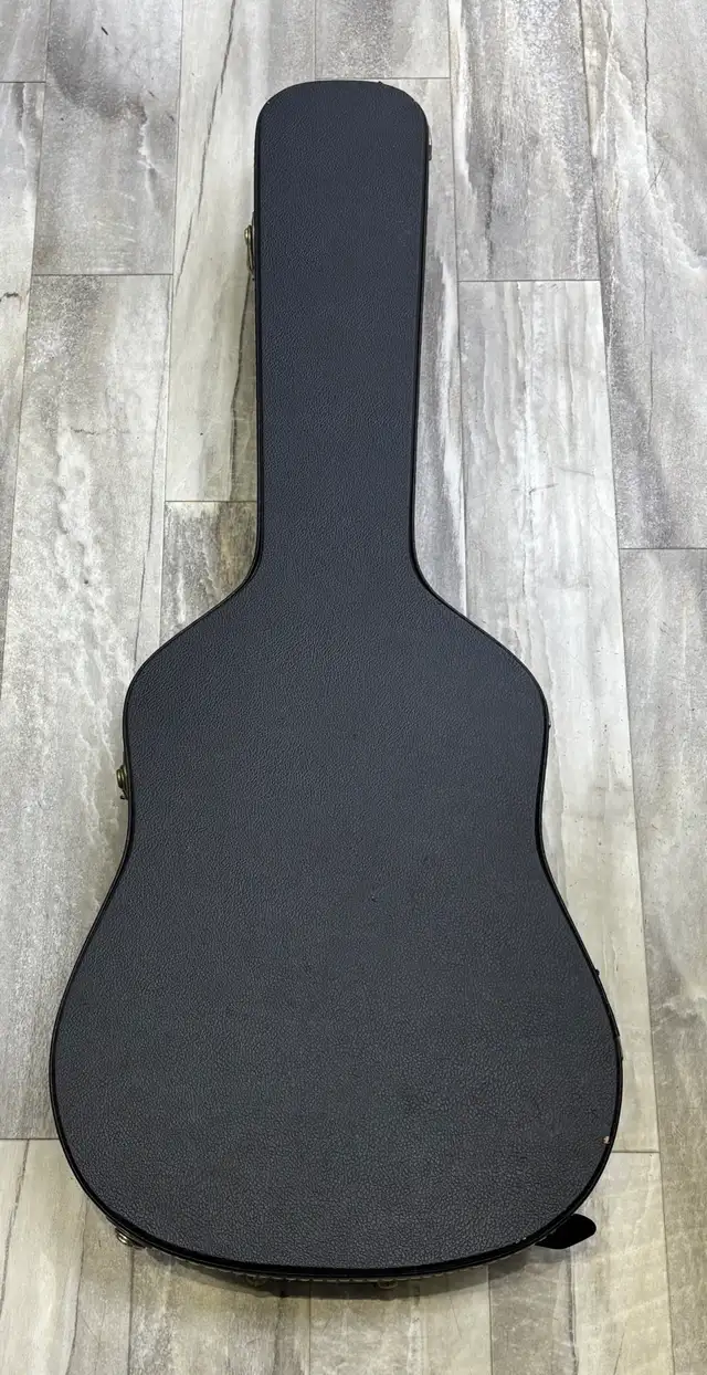 Acoustic Guitar Hard Case