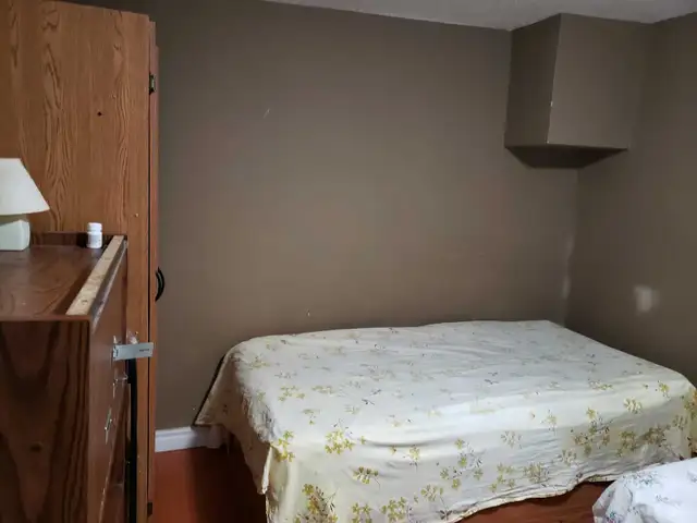 shared room for rent near Humber North - Photo 3
