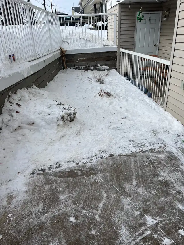 Landscape service - Photo 3