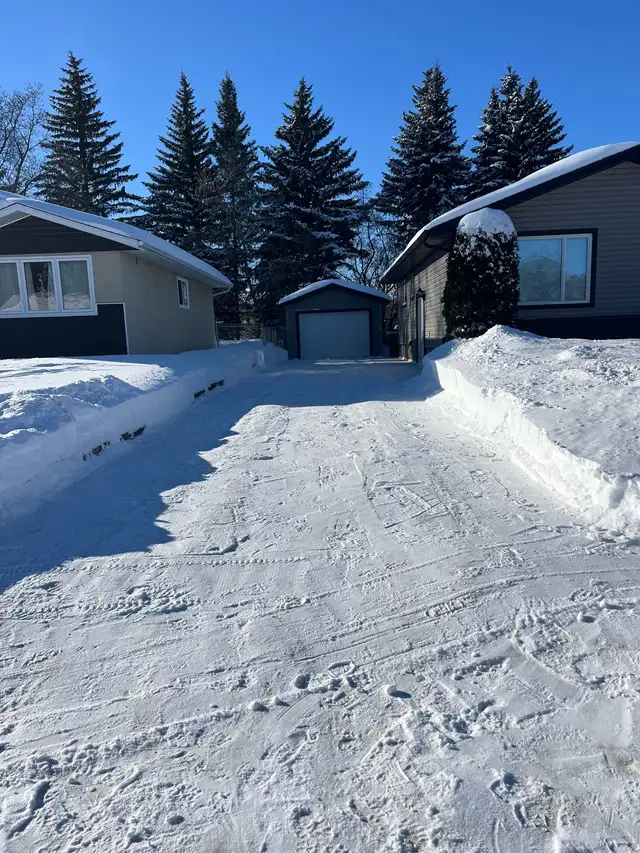 Landscape service - Photo 5