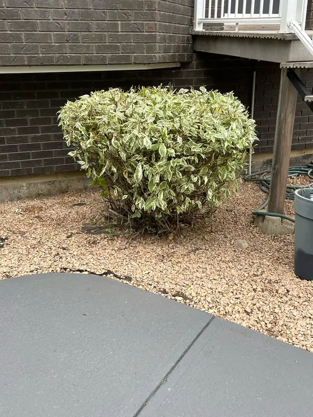 Landscape service - Photo 7