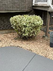 Landscape service - Photo 7