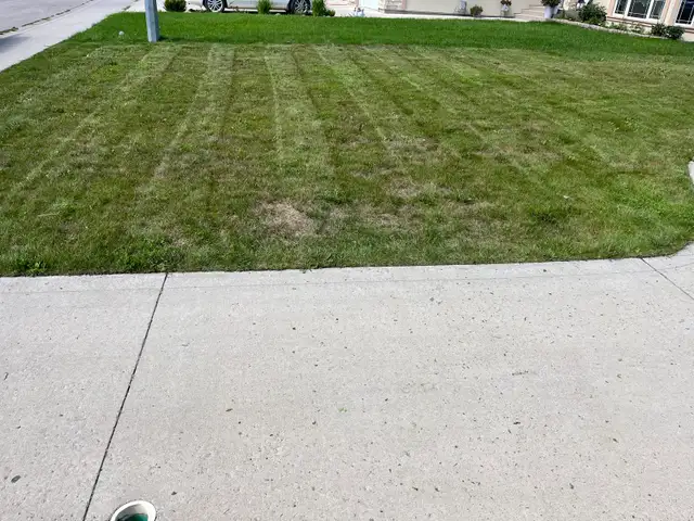 Landscape service - Photo 8