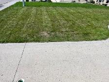 Landscape service - Photo 8