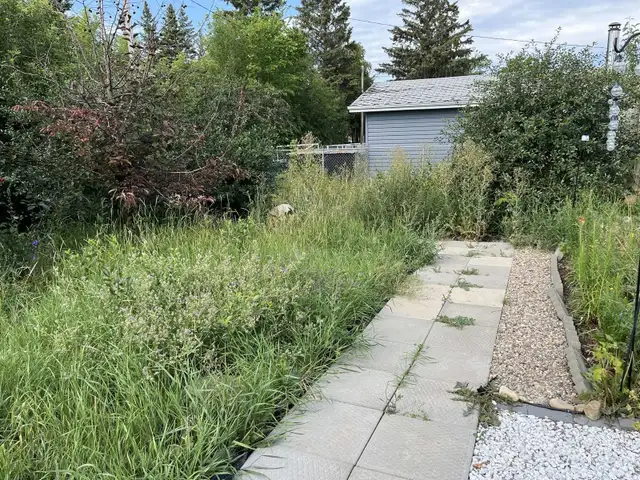 Landscape service - Photo 9