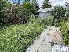 Landscape service - Photo 9