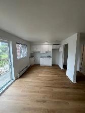 1 ½ Rénové 2 min Métro Longueuil tout inclus, wifi pour juillet