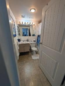 Unfurnished 1 Bed, 1 Bath Top Floor Apartment - Photo 4