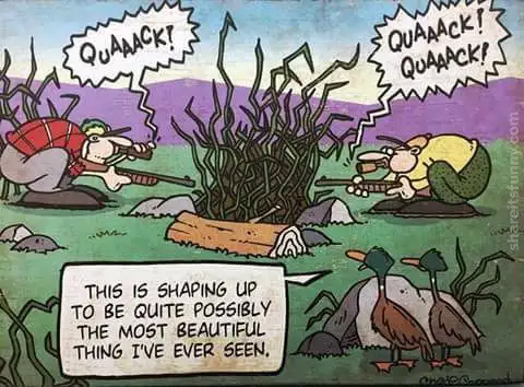 Non Restricted (PAL) – Joffre – May 9 - Photo 3