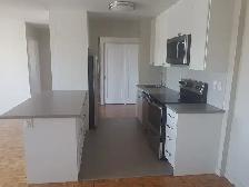 Stunning 2 Bedroom Apartment for Rent in Whitby! - Photo 3