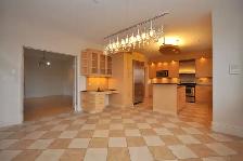 4 Bedroom 3 Bath House in Desirable Halifax Neighbourhood - Photo 12