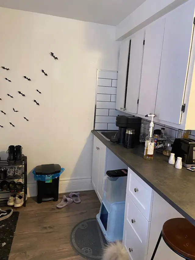 Très beau 2 1/2, au goût du jour ! rue Saint-Sauveur Juillet - Photo 2