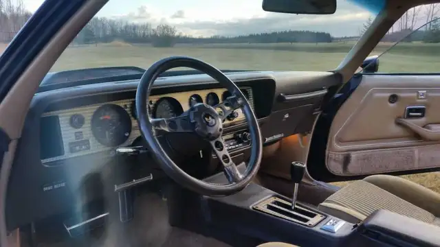 1981 Pontiac Trans Am SURVIVOR - Photo 5