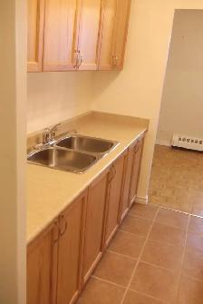 1 BEDROOM APARTMENT IN PORT HOPE (UTILITIES INCLUDED) - Photo 2