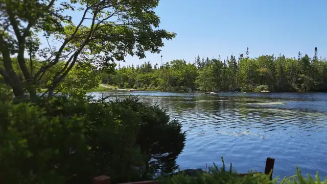 07-005 FURNISHED Lakefront home, all utilities incl. till June30 - Photo 8