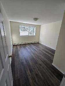 Upgraded 2BR - Clayton Park - July 5th - Heat/Water/Pkg Incl! - Photo 5