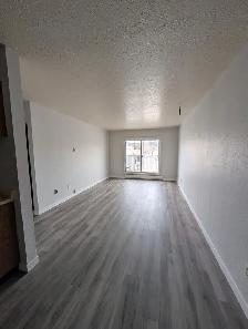 Unfurnished 2 Bed, 1 Bath Apartment - Photo 3