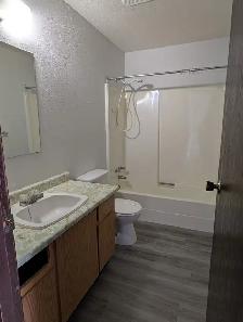 Unfurnished 2 Bed, 1 Bath Apartment - Photo 4