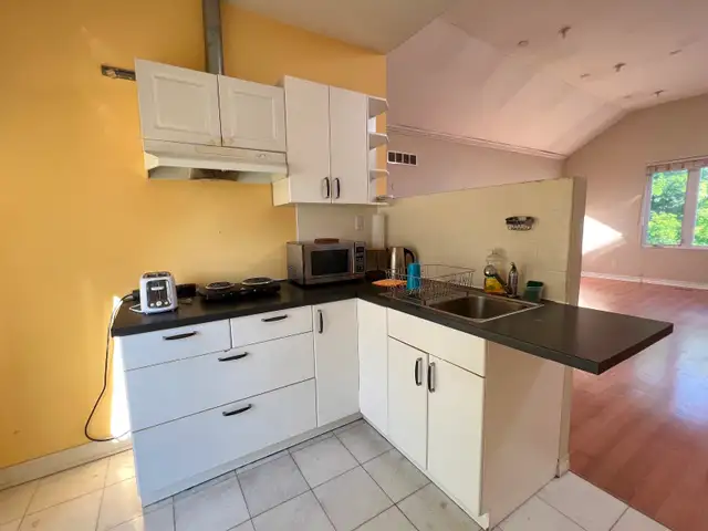 Private Studio (Bachelor) Apartment for Rent - Photo 6