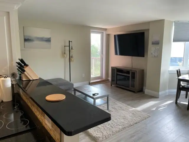 BEAUTIFUL 1 BED 1 BATH FURNISHED CONDO AVAILABLE NOW! - Photo 2