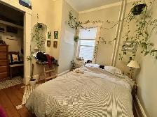 GORGEOUS 3 BR 1 BATH HALIFAX MAIN LEVEL FLAT AVAILABLE NOW! - Photo 5