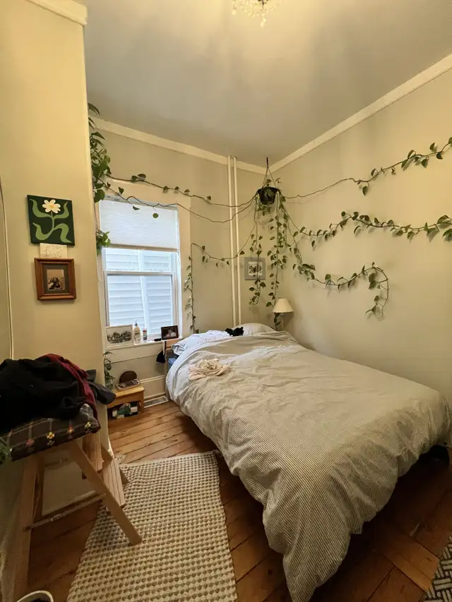 GORGEOUS 3 BR 1 BATH HALIFAX MAIN LEVEL FLAT AVAILABLE NOW! - Photo 6