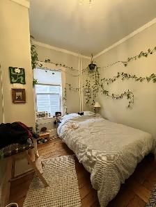 GORGEOUS 3 BR 1 BATH HALIFAX MAIN LEVEL FLAT AVAILABLE NOW! - Photo 6