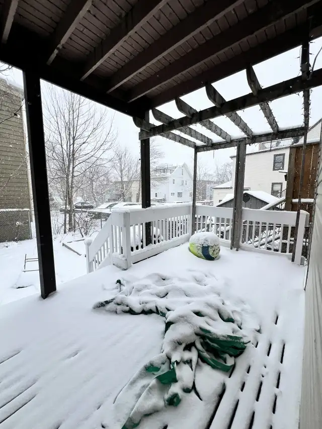 GORGEOUS 3 BR 1 BATH HALIFAX MAIN LEVEL FLAT AVAILABLE NOW! - Photo 12