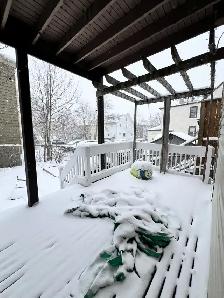 GORGEOUS 3 BR 1 BATH HALIFAX MAIN LEVEL FLAT AVAILABLE NOW! - Photo 12