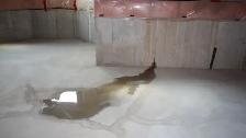 Crystal Creek Homes – Important Caution for Buyers - Photo 3