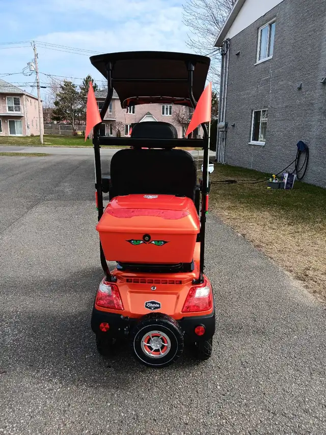 Quadriporteur Liberta électrique2025 autonomie 90klm vitesse 32k - Photo 5