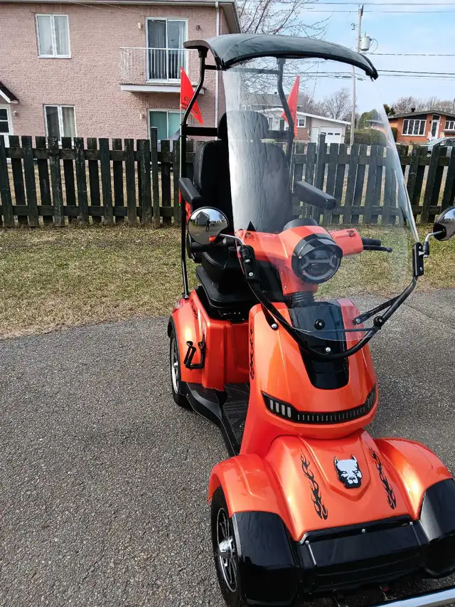 Quadriporteur Liberta électrique2025 autonomie 90klm vitesse 32k - Photo 8