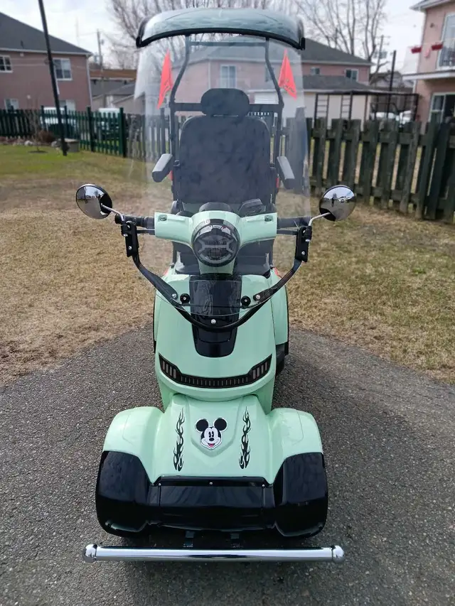 Quadriporteur Liberta électrique 2025 aut.90klm vitesse 32k