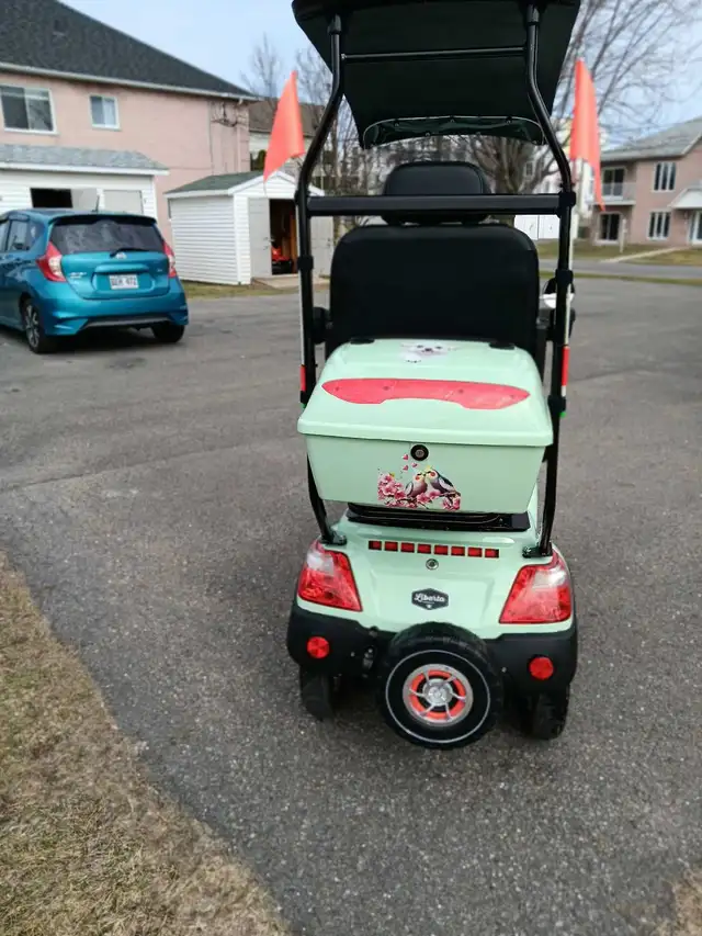 Quadriporteur Liberta électrique 2025 aut.90klm vitesse 32k - Photo 5