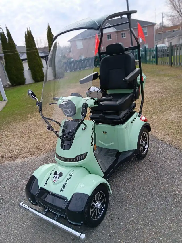 Quadriporteur Liberta électrique 2025 aut.90klm vitesse 32k - Photo 6