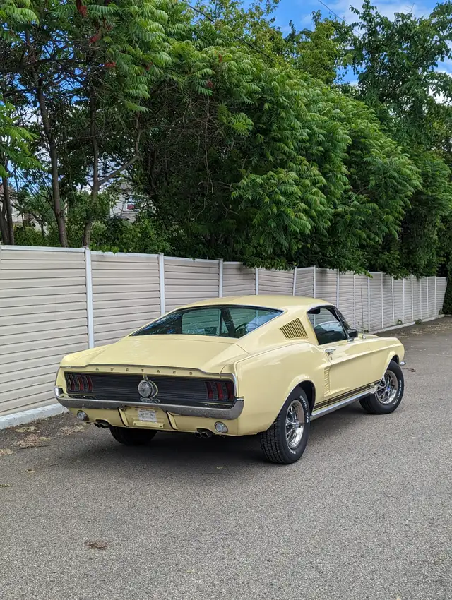 Wanted: 1967 - 1969 Mustang Fastback - Photo 3