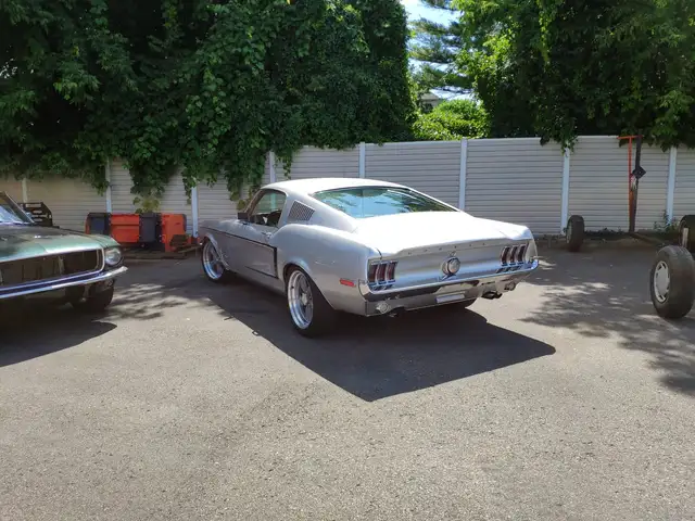 Wanted: 1967 - 1969 Mustang Fastback - Photo 3