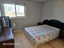 Room with Private washroom for rent, Mississauga, $1200 all incl - Photo 3