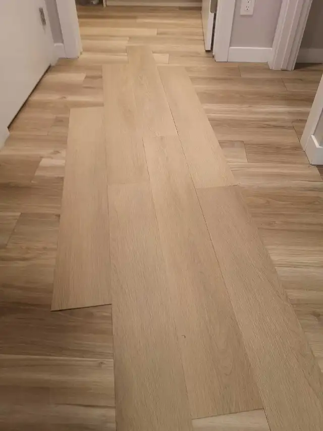816 sq ft of glue down LVP Oak colour flooring
