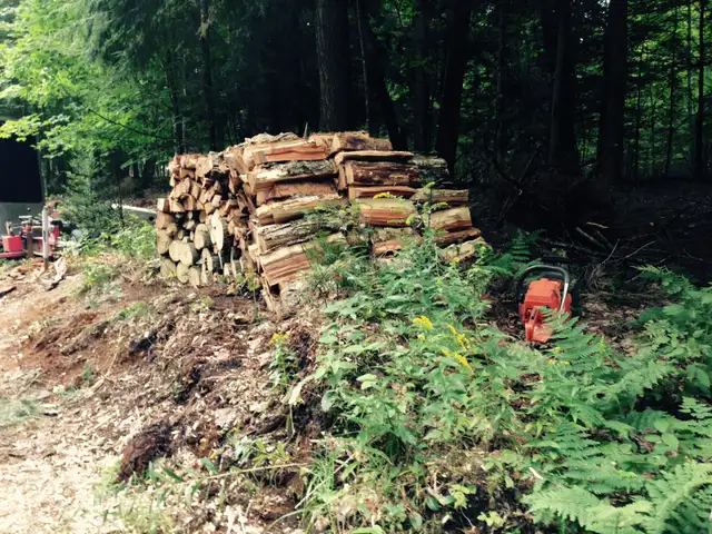 Hiring to move and stack firewood