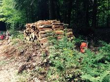Hiring to move and stack firewood