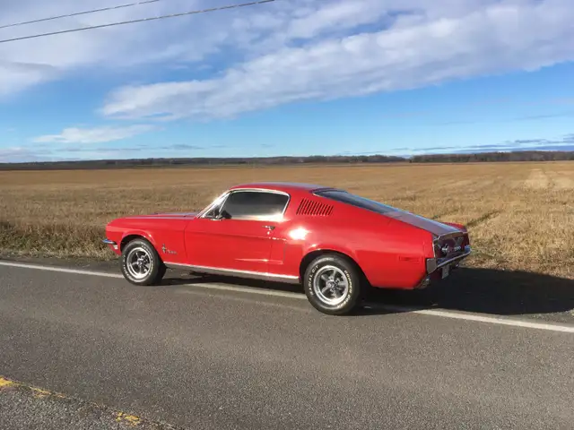 Wanted: 1967 - 1969 Mustang Fastback - Photo 3