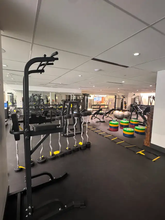 COMPLETE FITNESS CENTRE - SHORT NOTICE AUCTION SALE - Photo 10