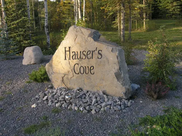 LAKE LOT for sale on Buck Lake