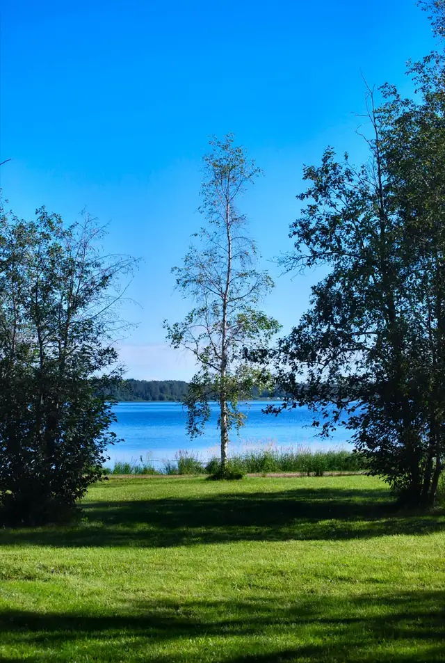 LAKE LOT for sale on Buck Lake - Photo 2