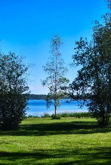 LAKE LOT for sale on Buck Lake - Photo 2